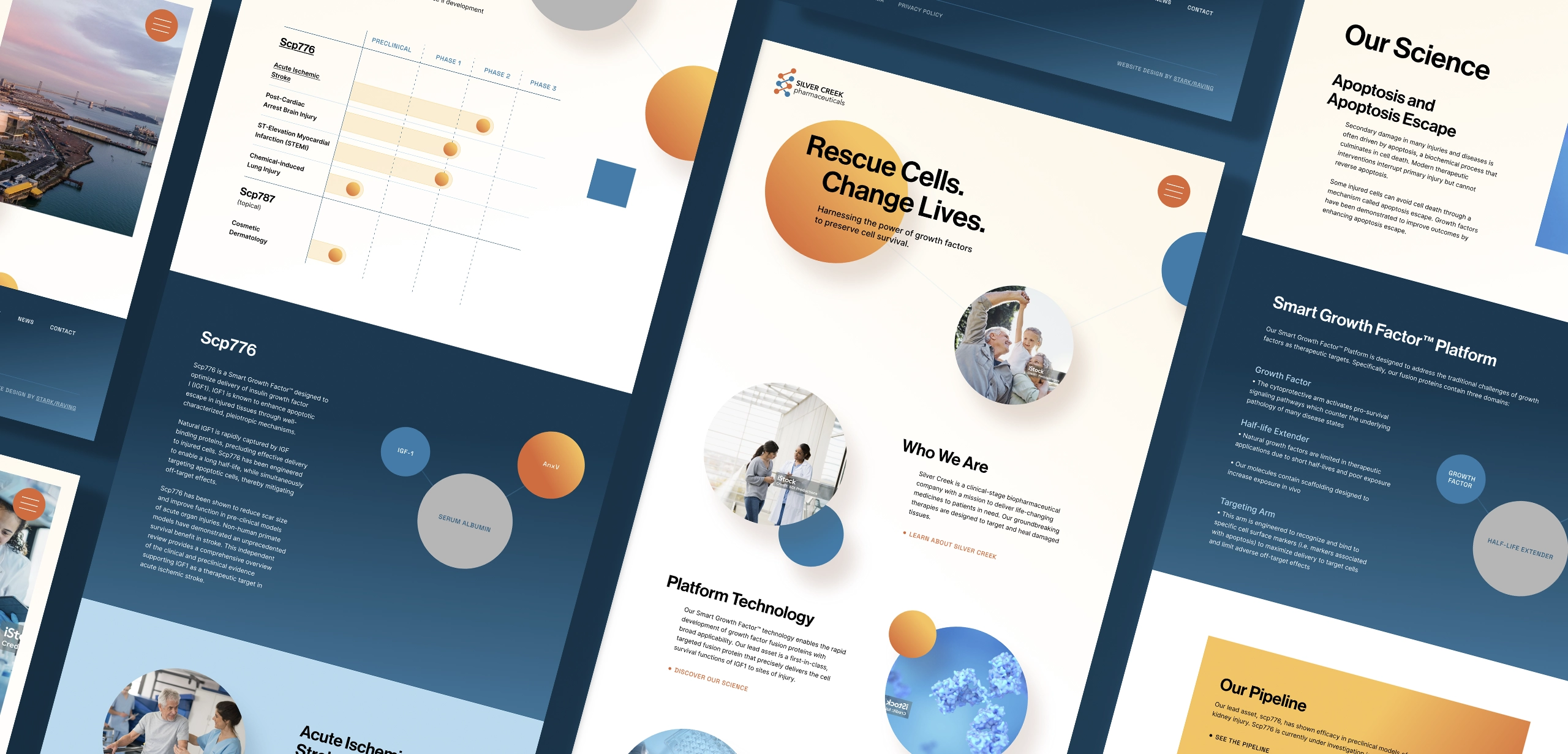 Pharmaceutical company website design